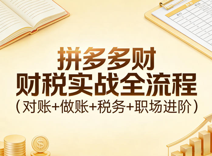 拼多多财税实战全流程(对账+做账+税务+职场进阶)-七州人网创