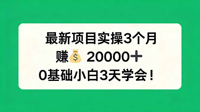 最新项目实操3个月，赚钱20000+，0基础小白3天学会！-七州人网创